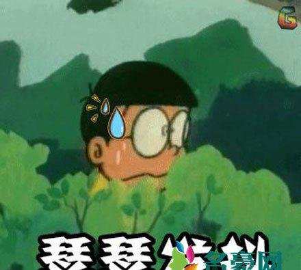 ssfd是什么梗什么意思 ssfd出处在哪