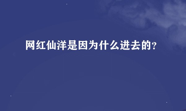 网红仙洋是因为什么进去的？
