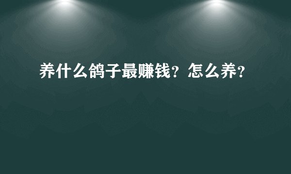 养什么鸽子最赚钱？怎么养？