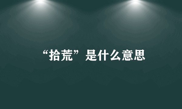 “拾荒”是什么意思