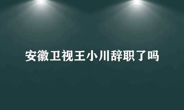 安徽卫视王小川辞职了吗