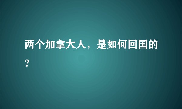 两个加拿大人，是如何回国的？