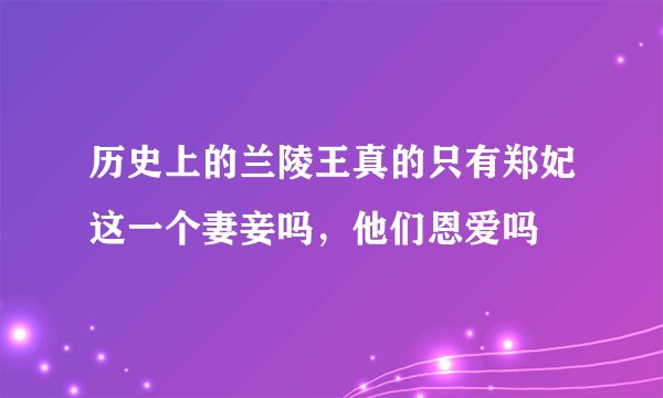 历史上的兰陵王真的只有郑妃这一个妻妾吗，他们恩爱吗