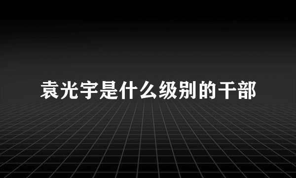 袁光宇是什么级别的干部