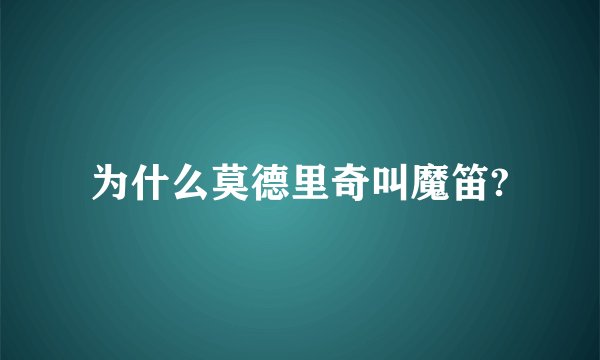 为什么莫德里奇叫魔笛?