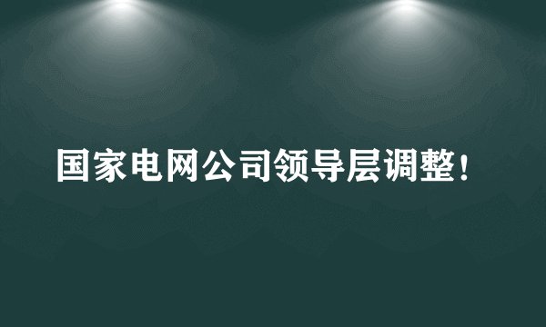 国家电网公司领导层调整！