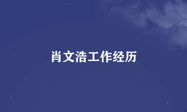 肖文浩工作经历