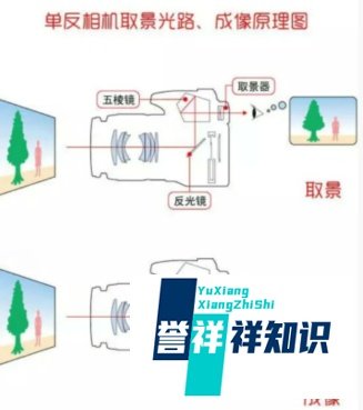 单反相机和普通相机的区别什么?