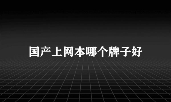 国产上网本哪个牌子好