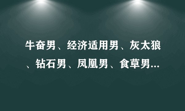 牛奋男、经济适用男、灰太狼、钻石男、凤凰男、食草男、韩国电玩男昌、日本便当男、三低男解释　