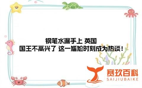 钢笔水漏手上 英国国王不高兴了