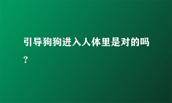 引导狗狗进入人体里是对的吗？