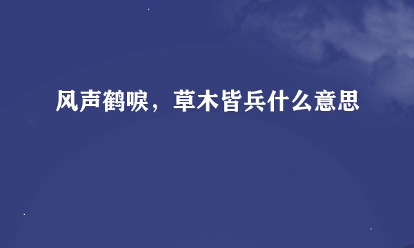 风声鹤唳，草木皆兵什么意思