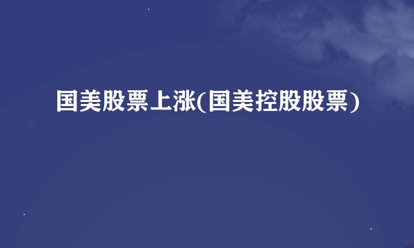 国美股票上涨(国美控股股票)