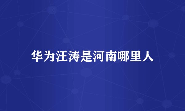 华为汪涛是河南哪里人
