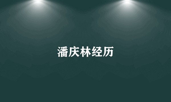 潘庆林经历