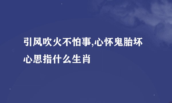 引风吹火不怕事,心怀鬼胎坏心思指什么生肖