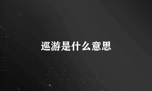 巡游是什么意思