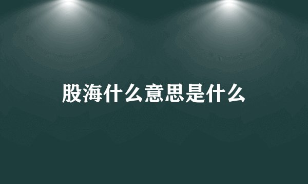 股海什么意思是什么