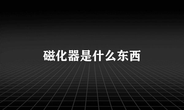 磁化器是什么东西