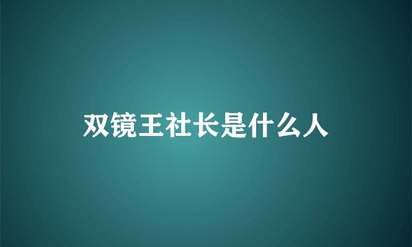 双镜王社长是什么人