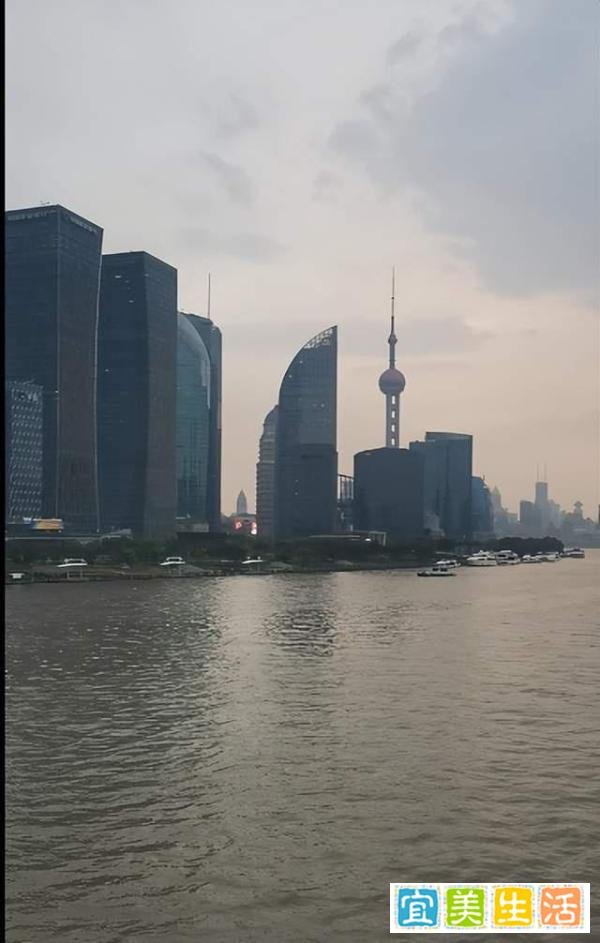 上海“外滩长草”引热议，不求真务实盲目辟谣，越辟越谣