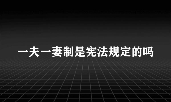 一夫一妻制是宪法规定的吗