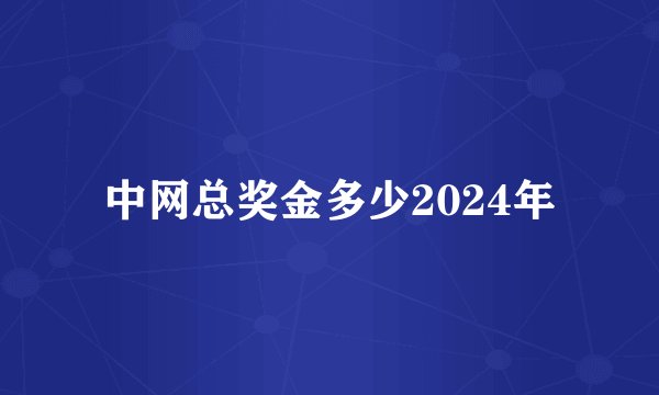 中网总奖金多少2024年