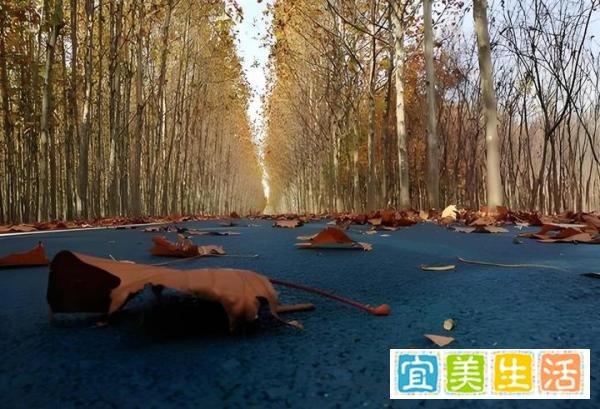 立冬晴，一冬凌；立冬阴，一冬温。来看详解