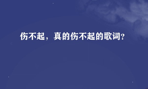 伤不起，真的伤不起的歌词？