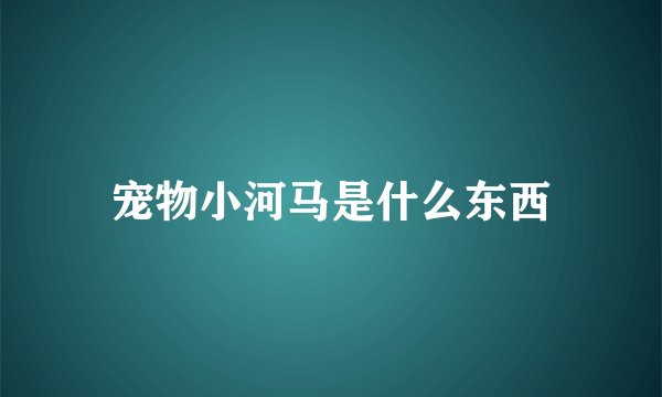 宠物小河马是什么东西