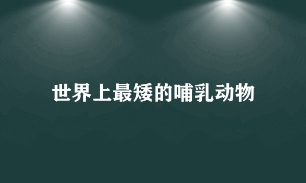 世界上最矮的哺乳动物