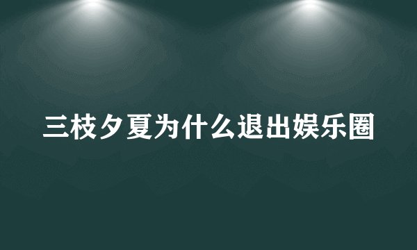 三枝夕夏为什么退出娱乐圈
