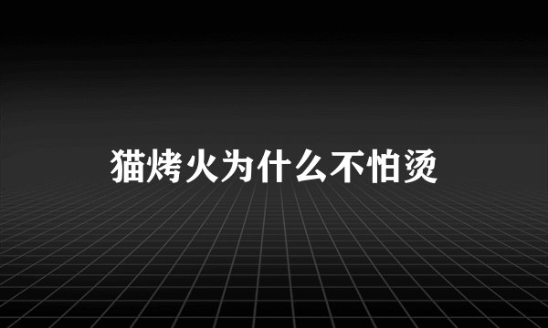猫烤火为什么不怕烫