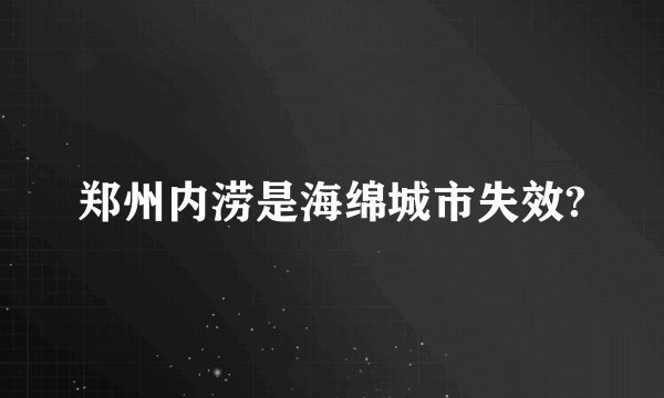 郑州内涝是海绵城市失效?