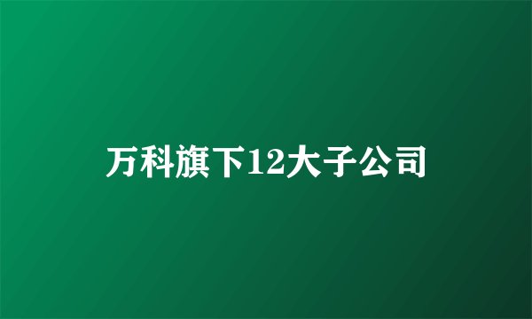 万科旗下12大子公司