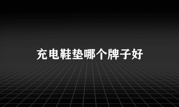 充电鞋垫哪个牌子好
