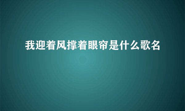 我迎着风撑着眼帘是什么歌名