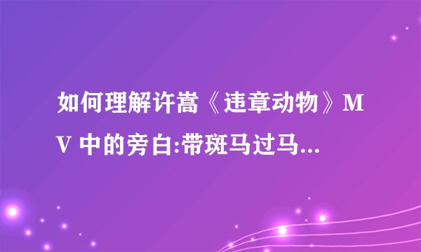 如何理解许嵩《违章动物》MV 中的旁白:带斑马过马路,教他