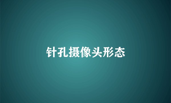 针孔摄像头形态