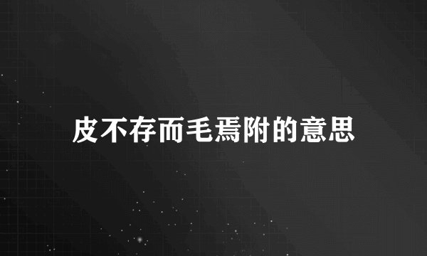 皮不存而毛焉附的意思