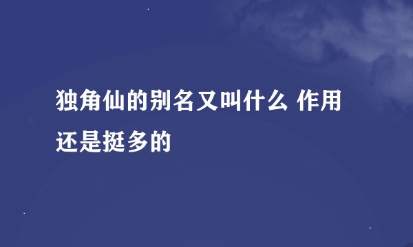 独角仙的别名又叫什么 作用还是挺多的