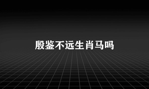 殷鉴不远生肖马吗