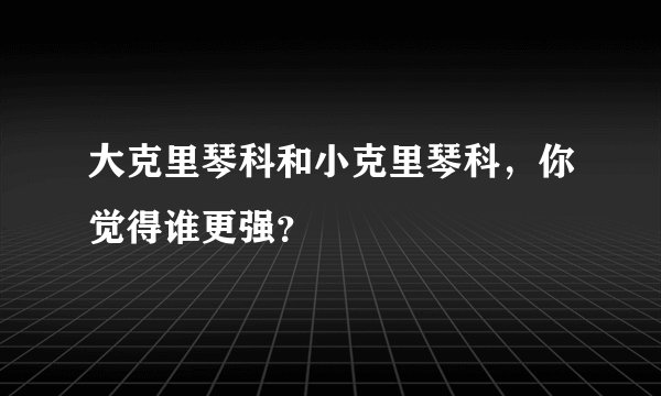 大克里琴科和小克里琴科，你觉得谁更强？