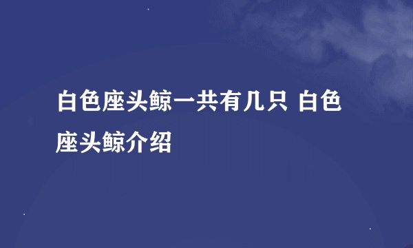 白色座头鲸一共有几只 白色座头鲸介绍