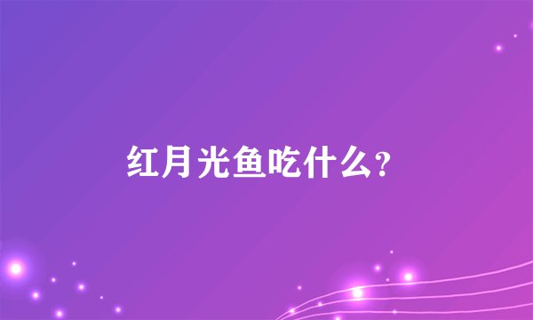 红月光鱼吃什么？