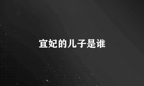宜妃的儿子是谁