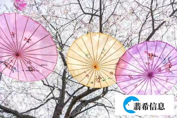 向来回首萧瑟处，无风无雨也无晴