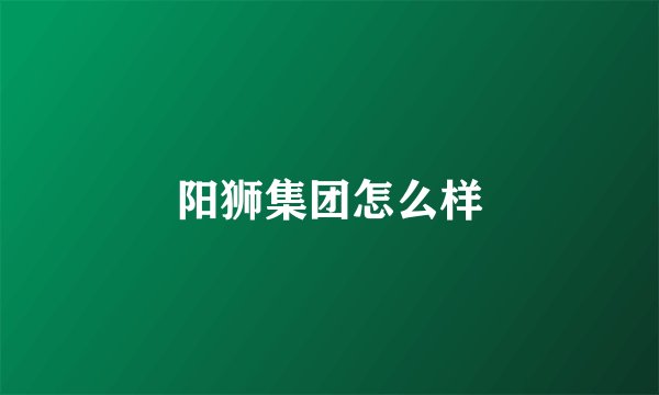 阳狮集团怎么样