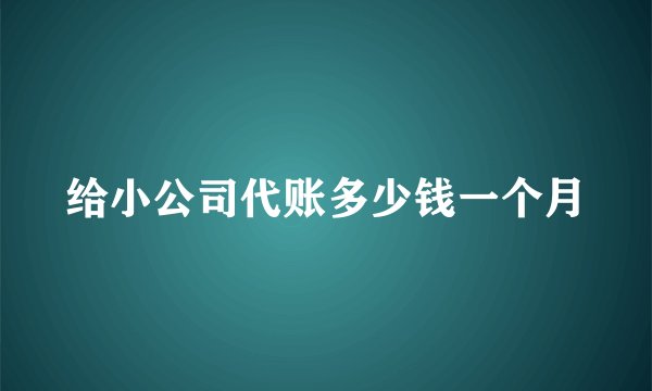 给小公司代账多少钱一个月